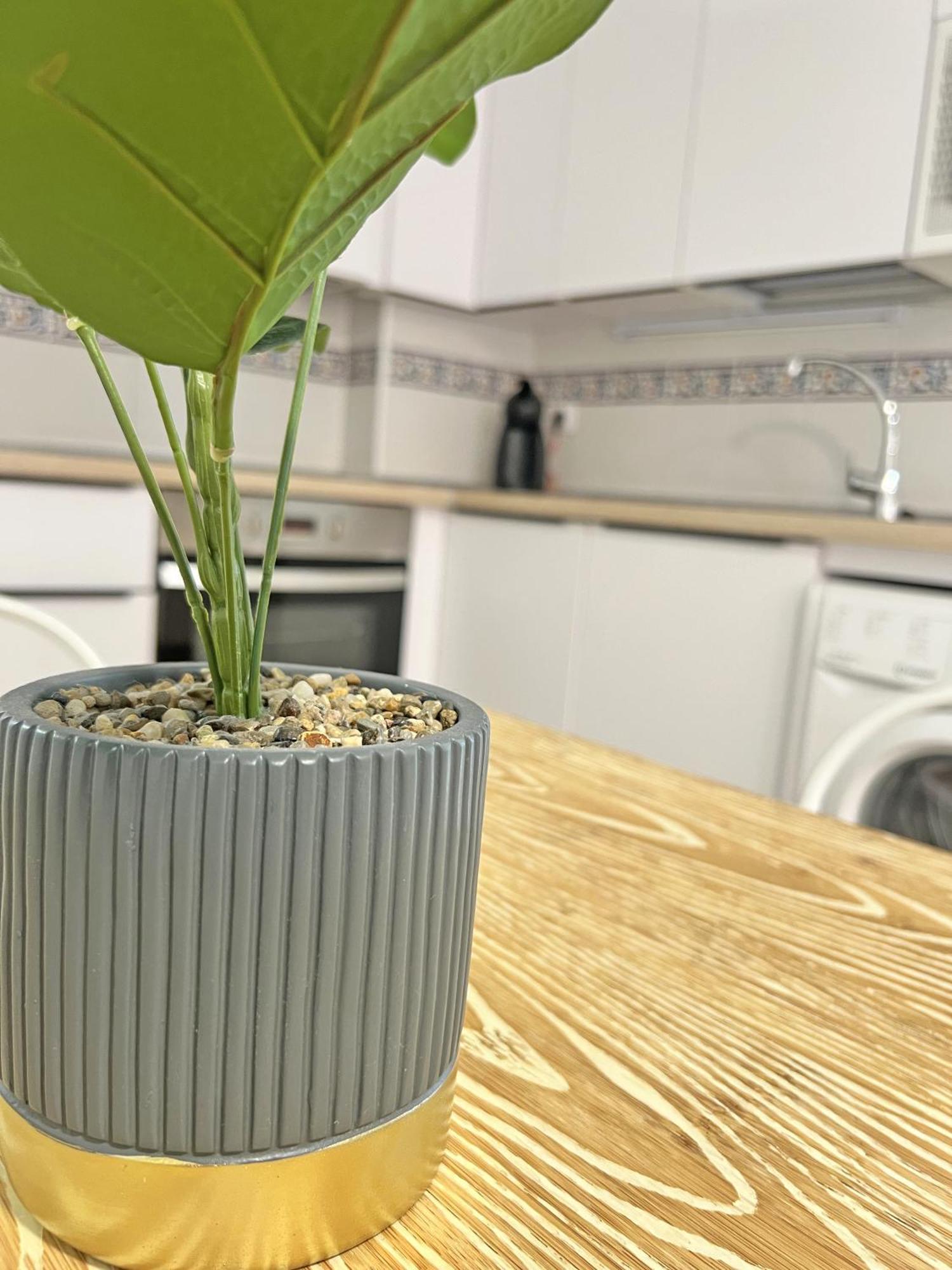 Puro Centro. 500M Del Mar. A/C Apartman Alicante Kültér fotó
